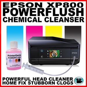 epson xp 800 printer