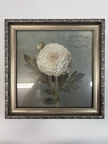 Vintage Botanical Art Chrysanthemum November w/ Real Dried Flower Framed 9.5x9.5