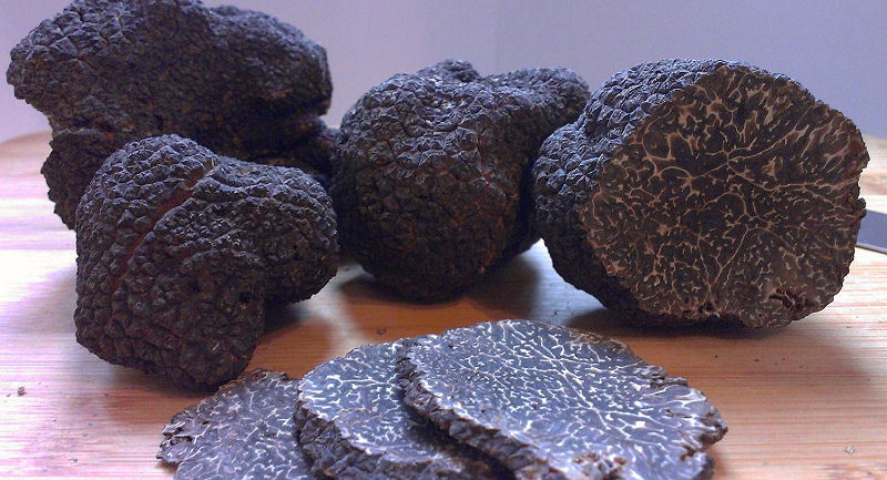 Preciosas trufas negras frescas italianas. Trufa negra 320g. 11,3 oz. Setas.