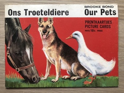 Ein leeres Brooke Bond Teekartenalbum Unsere Haustiere Südafrika