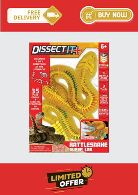 Rattlesnake Super Lab Dissect-It Kit for Kids Synthetic Dissection Science Toy