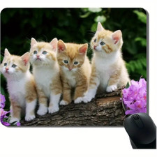 Kittens On A Log Mouse Pad Vivid Kitten Image For Young and Seasoned Cat Lovers