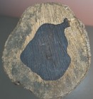 Bild 9 von 12