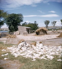 Vintage Stereo Realist Photo 3D Slide AFRICA Drying Fish Lake Edward