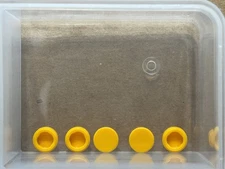 LEGO Parts - Bright Light Orange Tile, Round 1 x 1 - No 98138 - QTY 5