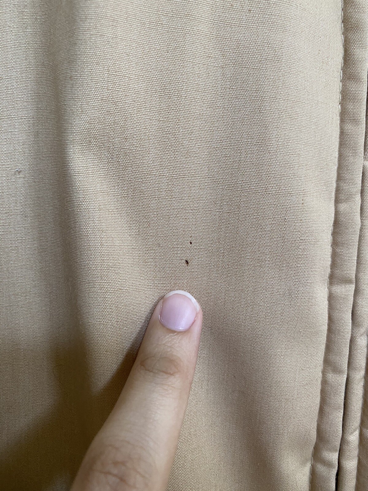 VTG 70’s/80’s Campus Beige Lined Basic Jacket Mad… - image 2