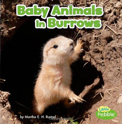 Baby Animals in Burrows (Baby Animals and Their Homes) - Paperback NEW Martha E