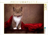 Calvendo Puzzle A Motif From The Calendar Kittens - British Shorthair Kittens |