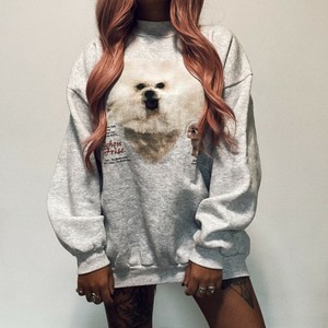 bichon frise sweater