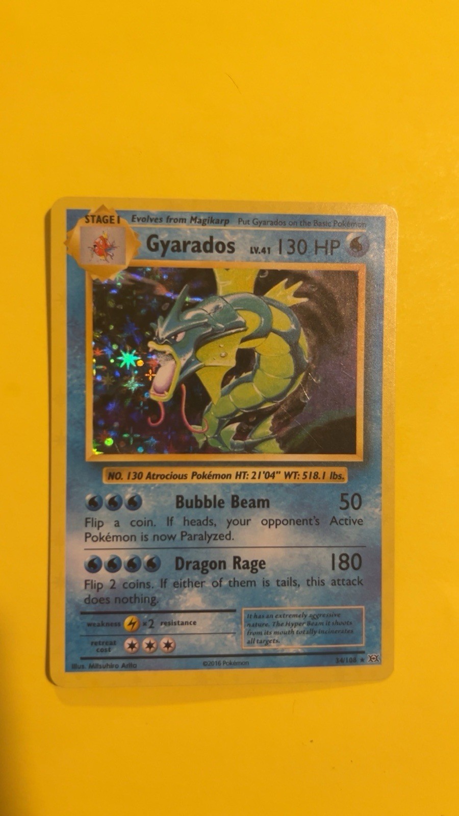 Pokémon Gyarados TCG Holo Rare Card 34/108 XY Evolutions 2016 NM Condition