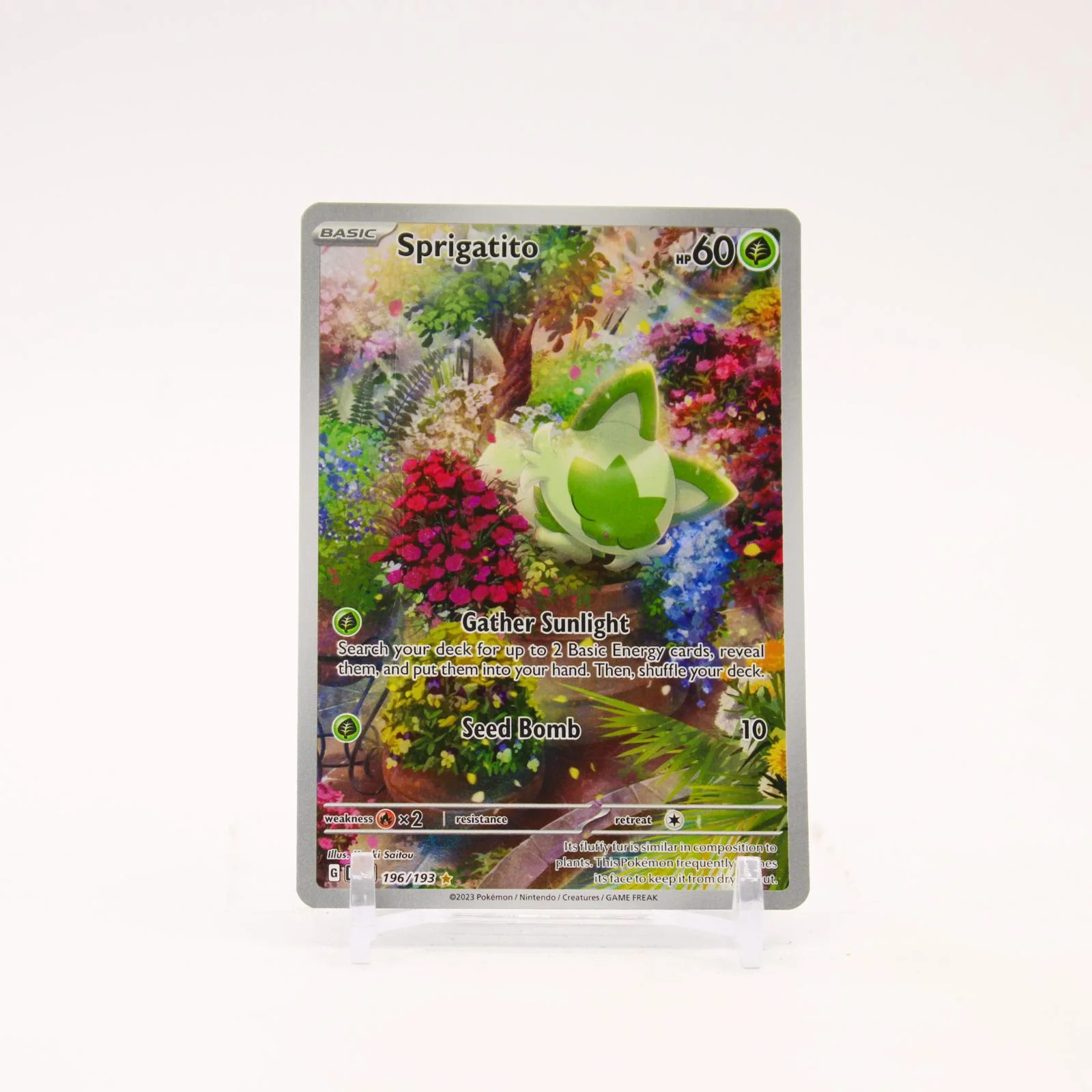 Sprigatito - 196/193 Paldea Evolved Holo Illustration Rare Pokemon - NM/LP