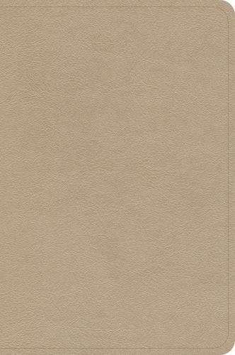 CSB Large Print Compact Reference Bible Gold LeatherTouch 2023 Edition