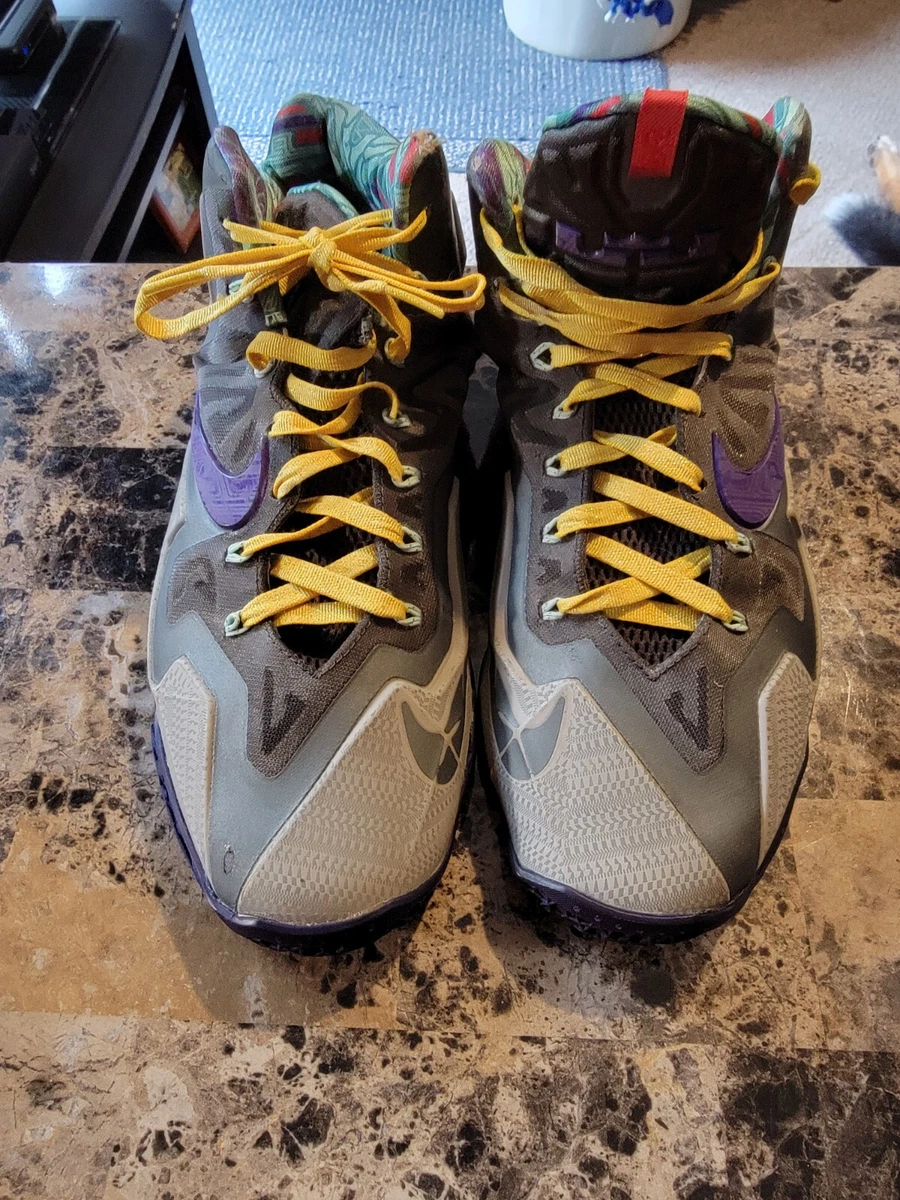 Las mejores ofertas en Nike Lebron 11 Xdr Terracotta Warrior | eBay