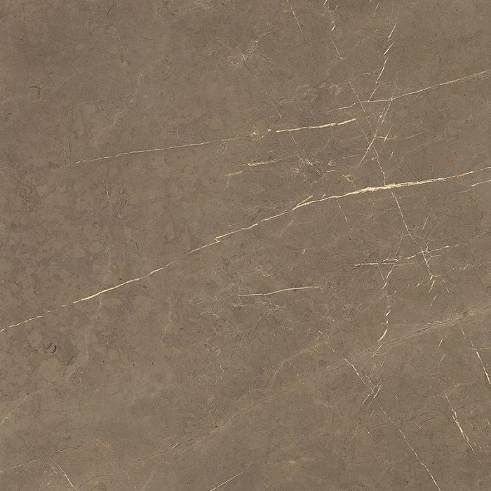 Dado Marmi Pregiati Pregiati Pregiati Supreme Bronze Poliert 60x60 cm 303030 Marmoroptik Flies... af1c9b Dado Marmi Pregiati Pregiati Pregiati Supreme Bronze Poliert 60x60 cm 303030 Marmoroptik Flies... af1c9b