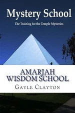 Mystery School: An Insider's Perspective by Clayton, Gayle, Brand New, Free s...