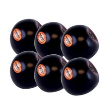 Remo  Fruit  Style Plum Hand Shaker - 6-Piece Bag - SC-PLUM-06