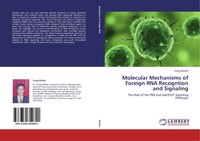 Farag Bleiblo | Molecular Mechanisms Of Foreign Rna Recogntion And Signaling