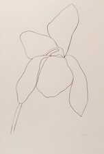 Ellsworth Kelly: Cyclamen II 22x30 Archival Quality Fine Art Print