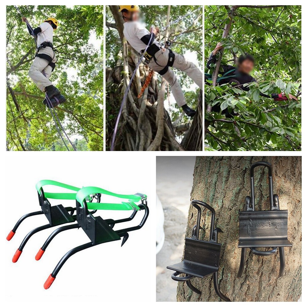 best tree climbing shoes