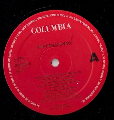 Pasadenas - Another Lover Remix - Used Vinyl Record 12 - J5829z
