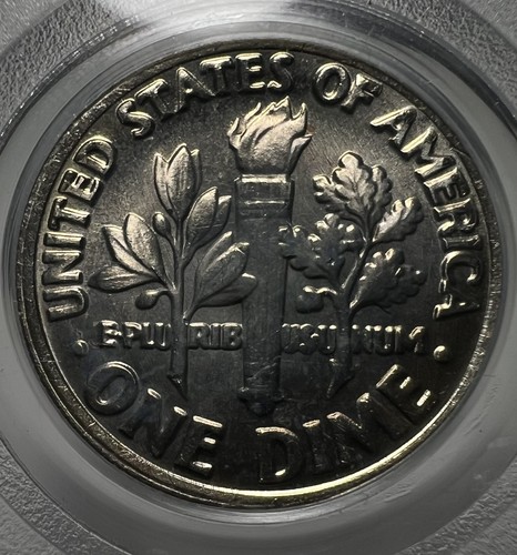 1982 Roosevelt Dime PCGS MS66 No P Strong FS-501 Toned Variety Coin 10C - Picture 7 of 12