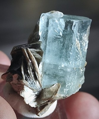 Aquamarinkristall in Muskovitmatrix.31,6x27,9x18,5mm.Nagar, Pakistan