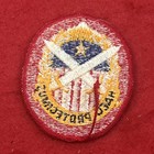 U. S. ARMY MILITARY DISTRICT OF WASHINGTON (MDW) “This We Protect” Mil. Patch EX — photo 2