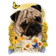 Pug  New Dog Sweatshirt  Sizes/Colors