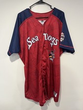 #59 Game Issued Portland Sea Dogs Marvel Defenders Of The Diamond Jersey