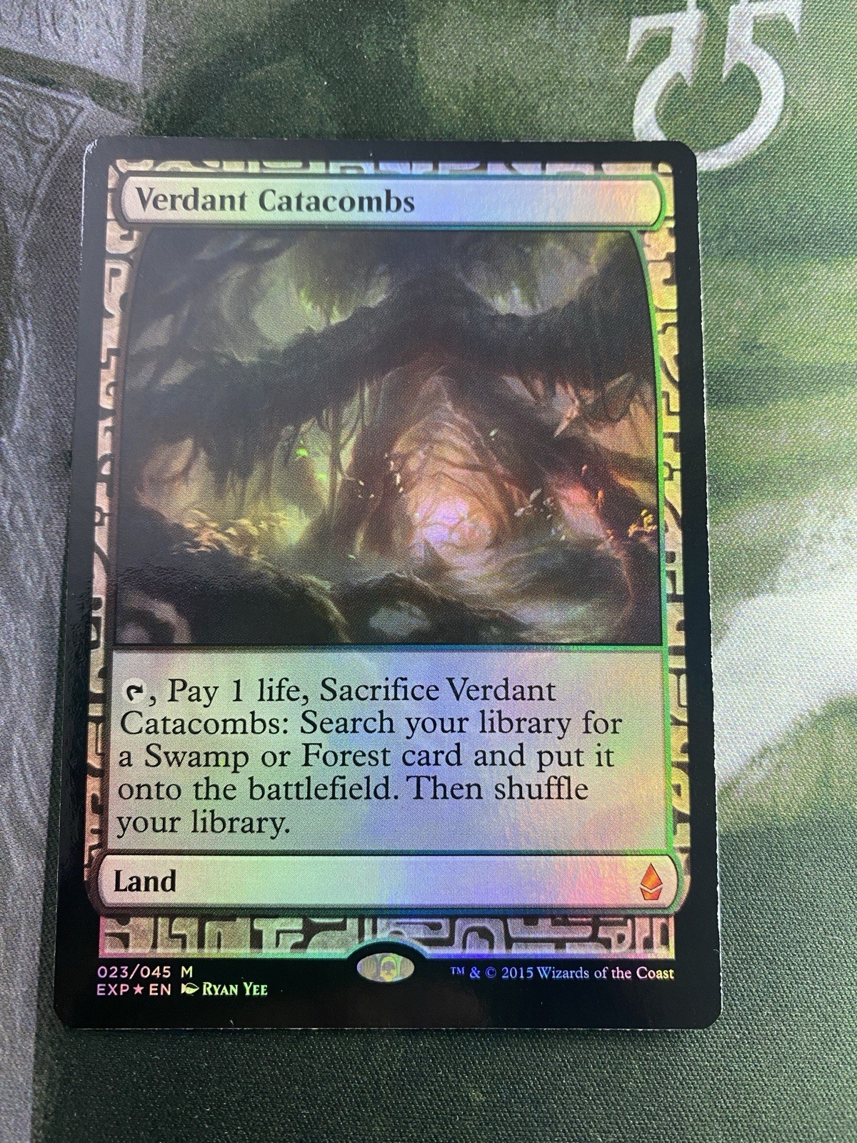 Verdant Catacombs Foil Zendikar Expeditions NM, MTG