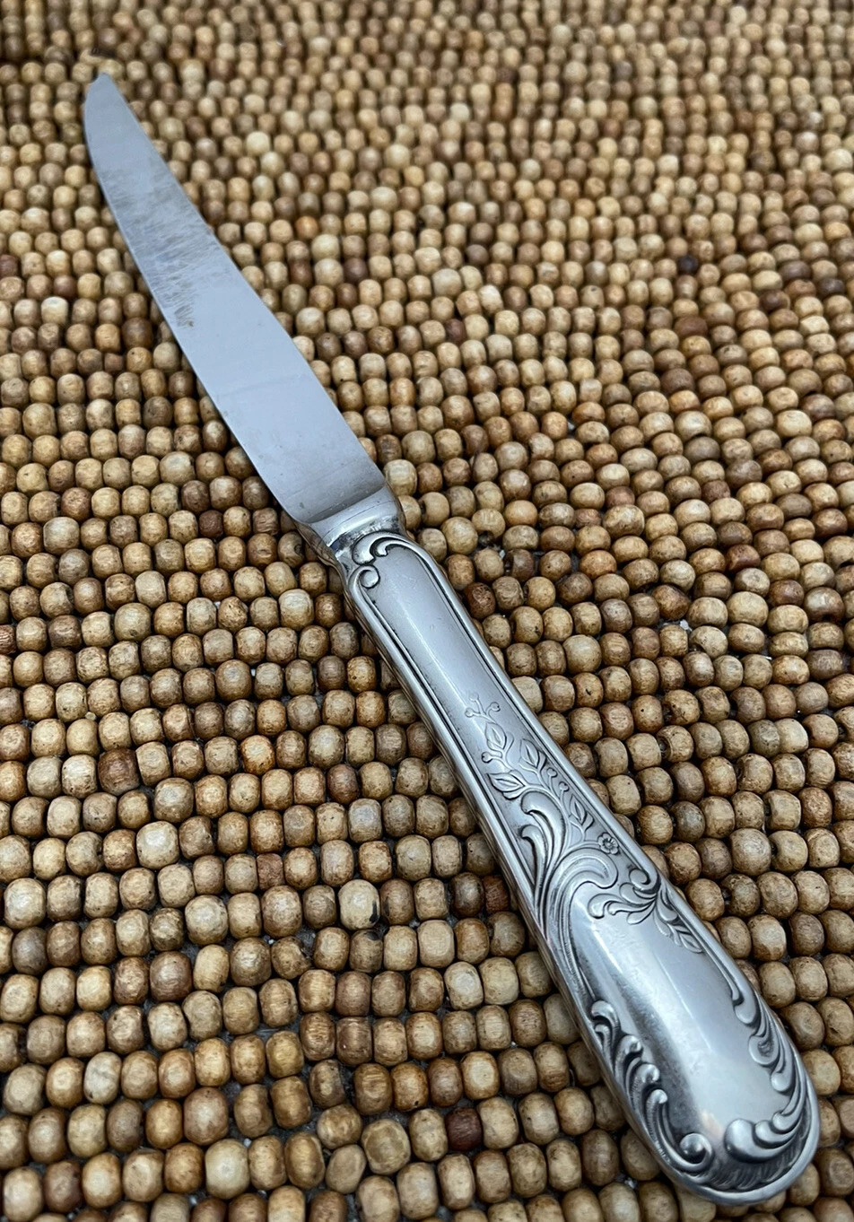 CARICO Satin Stainless Floral Scroll CEZANNE Hollow Serrated Steak Knife 9”