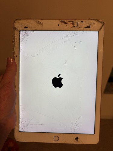 iPad Pro 1st gen 9.7 Inch 32GB Model A1673 Working Condition, Cracked Screen - Afbeelding 11 van 12