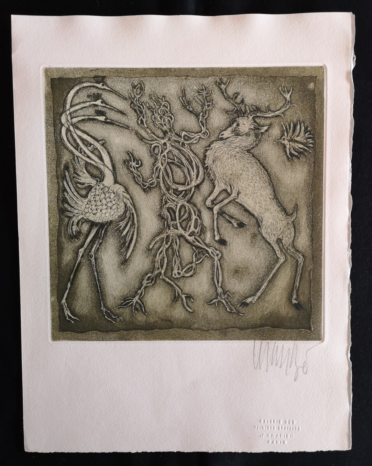 Picture 1 of 5