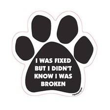 I Was Fixed But I Didn't Know I Was Broken Dog Paw Car Magnet