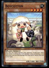 Boycotton - MP19-EN018 - YuGiOh | Buy 1 Get 2 Free 