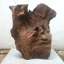 3650 Gr Aetoxylon Agarwood Wild Harvest Gaharu Buaya Aloeswood