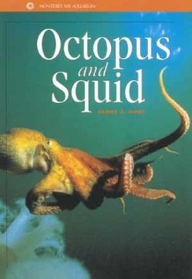 Octopus and Squid (Monetary Bay Aquarium - Paperback, by Hunt James C. - Good