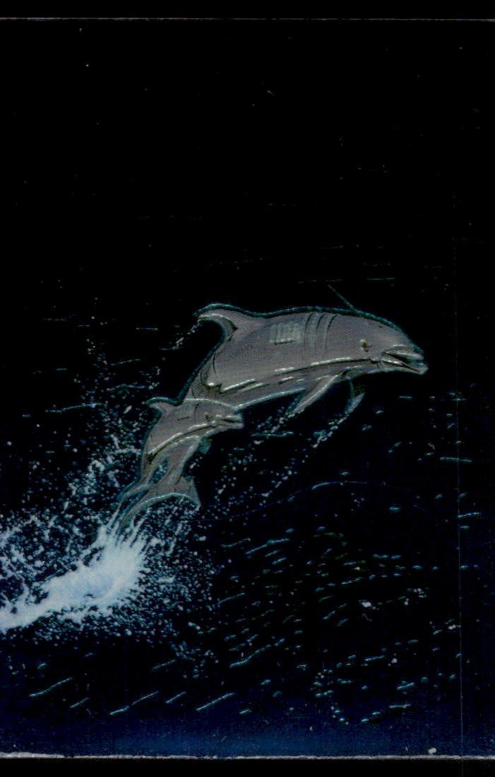 Robot Dolphin 1994 Chrome Card #87 (NM)