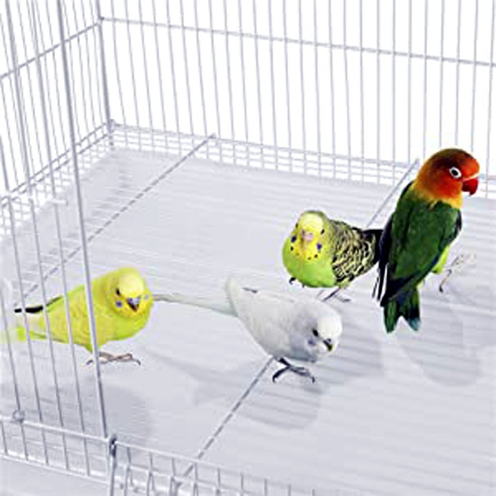 Photo inspiration: Fresh Look at Large Breeding Flight Bird Breeder Cage For Aviaries Canaries Budgies