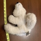 Picture 6 of 6