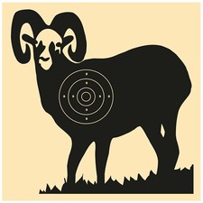 braun-network Schießscheibe