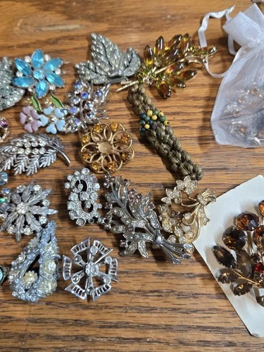 Vintage Costume Jewelry Lot. Brooches And Misc.