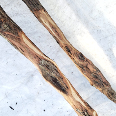2 Diamond Willow Wood Carving Blanks 43'' 46'' Walking Stick Staff Project Wood