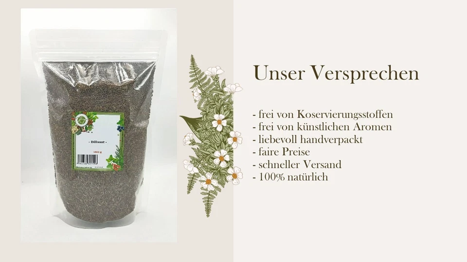 1000 g / 1 Kg Dillsaat ganz Dillsamen Dillkörner Gurkenkümmel ganz - 1A Qualität - Bild 4 von 4