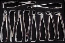Dental Forcep Set Orthodontics Pliers Tooth Removal Dental Extraction Forceps
