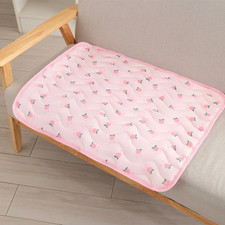 Cat Seat Cushion Cool Summer Pet Mat Breathable Ice Silk Dog Sofa Mat Soft Cute