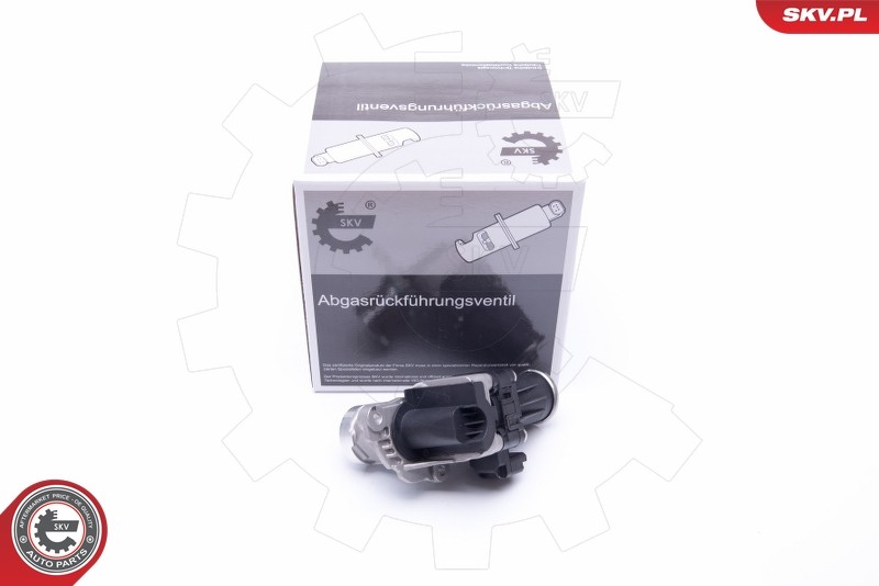 14SKV185 ESEN SKV EGR VALVE FOR CITROËN FORD PEUGEOT VOLVO