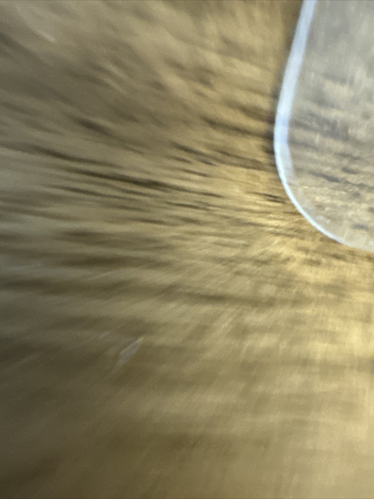 Picture 6 of 6