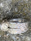 Bild 9 von 11