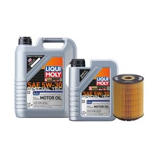 6L Liqui Moly Special Tec LL 5W-30 Hengst Engine Oil Change Kit for Passat AAA
